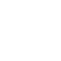 Sanitize Icon